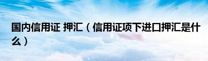 国内信用证 押汇（信用证项下进口押汇是什么）