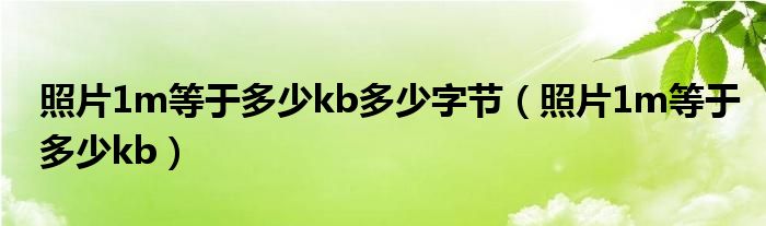 照片1m等于多少kb多少字节（照片1m等于多少kb）