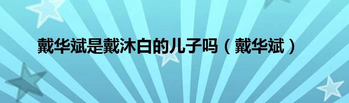 戴华斌是戴沐白的儿子吗（戴华斌）