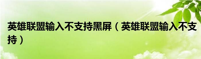 英雄联盟输入不支持黑屏（英雄联盟输入不支持）