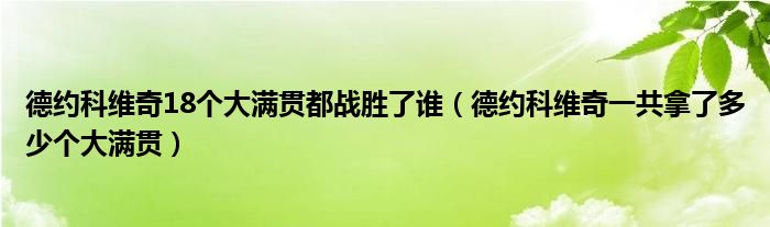 德约科维奇18个大满贯都战胜了谁（德约科维奇一共拿了多少个大满贯）