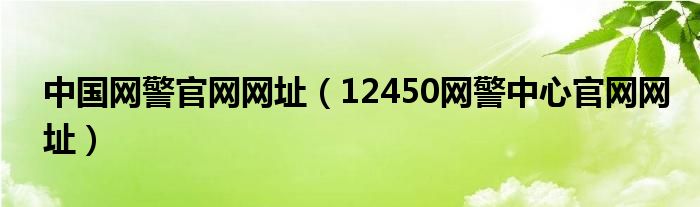 中国网警官网网址（12450网警中心官网网址）