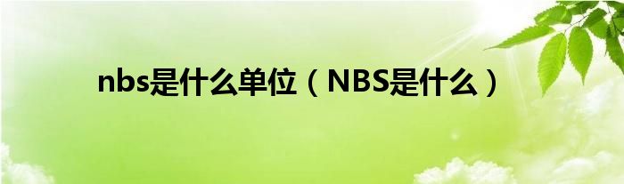 nbs是什么单位（NBS是什么）