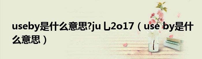 useby是什么意思?ju乚2o17（use by是什么意思）