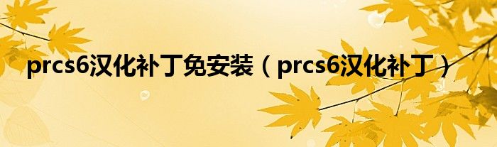 prcs6汉化补丁免安装（prcs6汉化补丁）