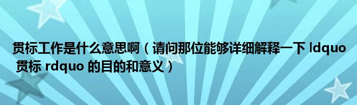 贯标工作是什么意思啊（请问那位能够详细解释一下 ldquo 贯标 rdquo 的目的和意义）