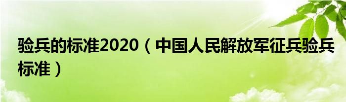 验兵的标准2020（中国人民解放军征兵验兵标准）