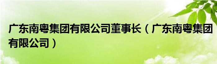 广东南粤集团有限公司董事长（广东南粤集团有限公司）