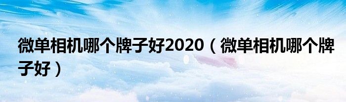 微单相机哪个牌子好2020（微单相机哪个牌子好）