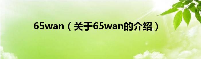 65wan（关于65wan的介绍）