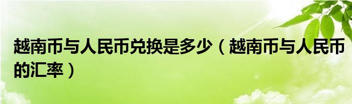 越南币与人民币兑换是多少（越南币与人民币的汇率）