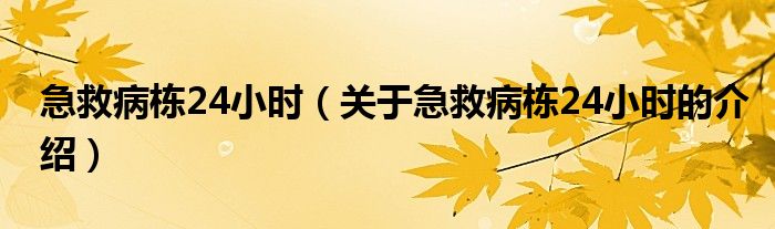 急救病栋24小时（关于急救病栋24小时的介绍）