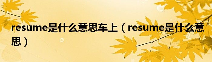 resume是什么意思车上（resume是什么意思）