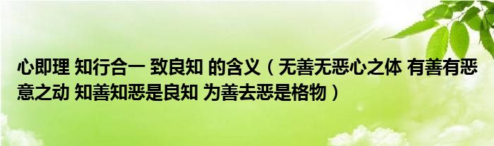 心即理 知行合一 致良知 的含义（无善无恶心之体 有善有恶意之动 知善知恶是良知 为善去恶是格物）