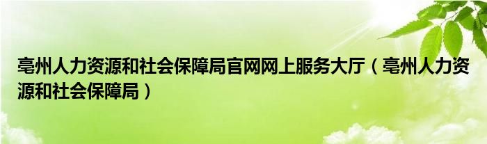 亳州人力资源和社会保障局官网网上服务大厅（亳州人力资源和社会保障局）