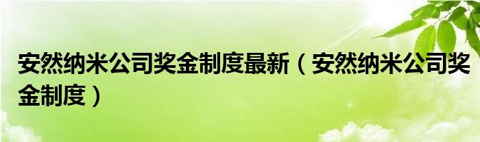 安然纳米公司奖金制度最新（安然纳米公司奖金制度）