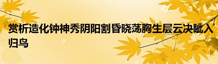 赏析造化钟神秀阴阳割昏晓荡胸生层云决眦入归鸟