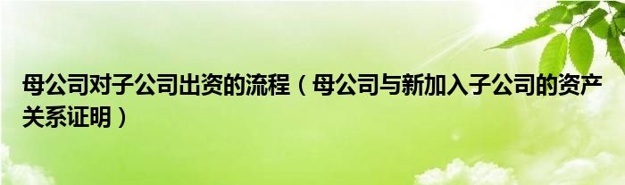 母公司对子公司出资的流程（母公司与新加入子公司的资产关系证明）