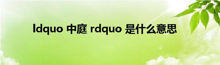 ldquo 中庭 rdquo 是什么意思