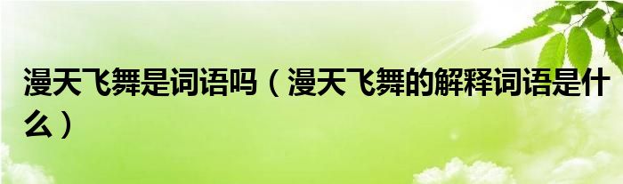 漫天飞舞是词语吗（漫天飞舞的解释词语是什么）