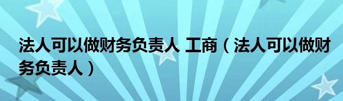 法人可以做财务负责人 工商（法人可以做财务负责人）