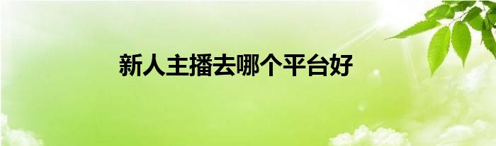 新人主播去哪个平台好