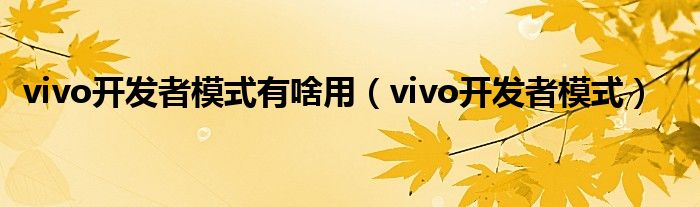 vivo开发者模式有啥用（vivo开发者模式）