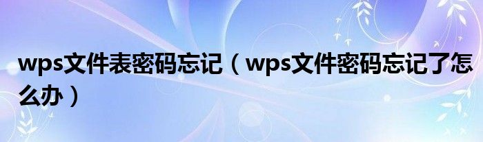 wps文件表密码忘记（wps文件密码忘记了怎么办）