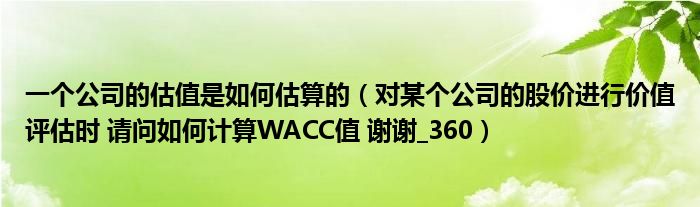 一个公司的估值是如何估算的（对某个公司的股价进行价值评估时 请问如何计算WACC值 谢谢_360）