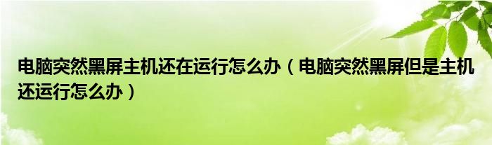 电脑突然黑屏主机还在运行怎么办（电脑突然黑屏但是主机还运行怎么办）