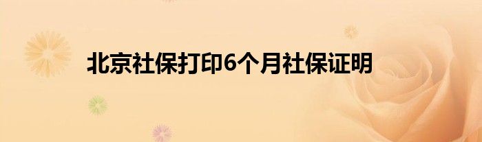 北京社保打印6个月社保证明