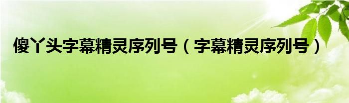 傻丫头字幕精灵序列号（字幕精灵序列号）