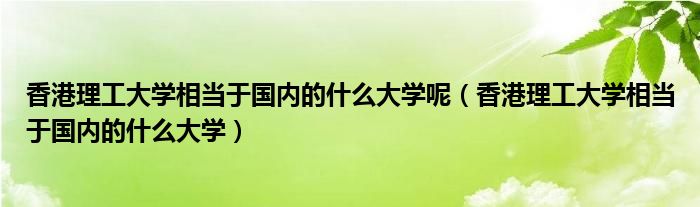 香港理工大学相当于国内的什么大学呢（香港理工大学相当于国内的什么大学）