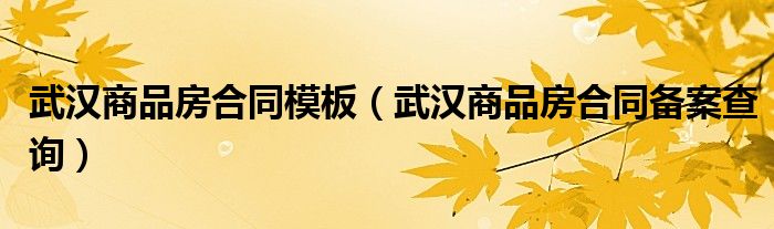 武汉商品房合同模板（武汉商品房合同备案查询）