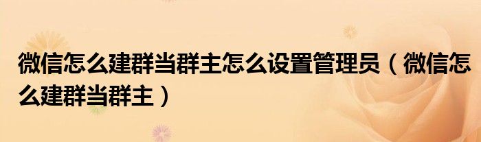 微信怎么建群当群主怎么设置管理员（微信怎么建群当群主）