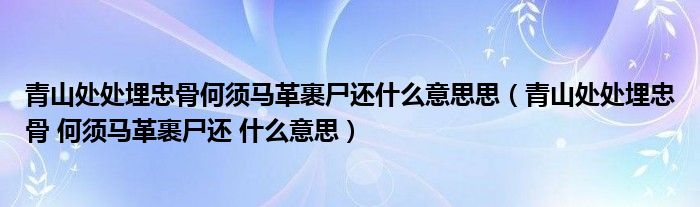 青山处处埋忠骨何须马革裹尸还什么意思思（青山处处埋忠骨 何须马革裹尸还 什么意思）