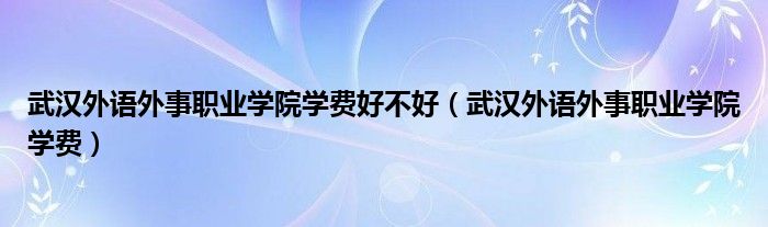 武汉外语外事职业学院学费好不好（武汉外语外事职业学院学费）