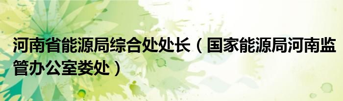 河南省能源局综合处处长（国家能源局河南监管办公室娄处）