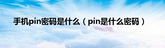 手机pin密码是什么（pin是什么密码）