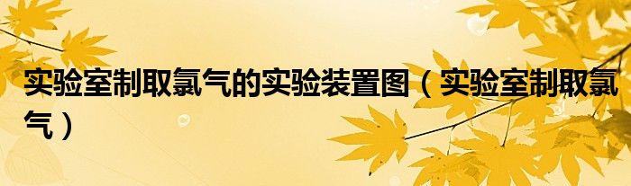 实验室制取氯气的实验装置图（实验室制取氯气）