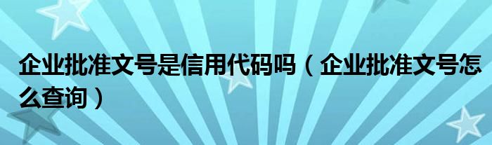 企业批准文号是信用代码吗（企业批准文号怎么查询）