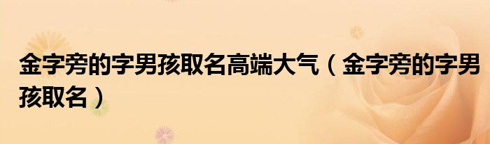 金字旁的字男孩取名高端大气（金字旁的字男孩取名）