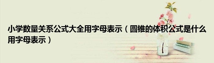 小学数量关系公式大全用字母表示（圆锥的体积公式是什么用字母表示）