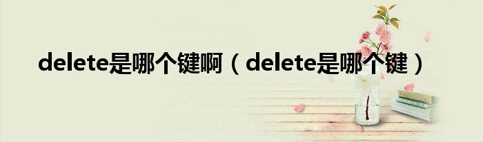 delete是哪个键啊（delete是哪个键）