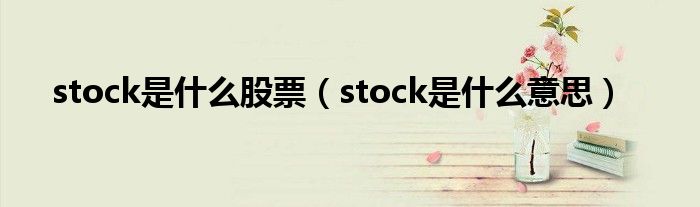 stock是什么股票（stock是什么意思）