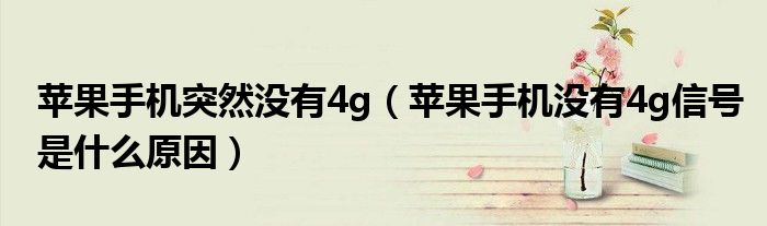 苹果手机突然没有4g（苹果手机没有4g信号是什么原因）