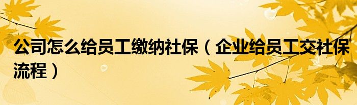 公司怎么给员工缴纳社保（企业给员工交社保流程）