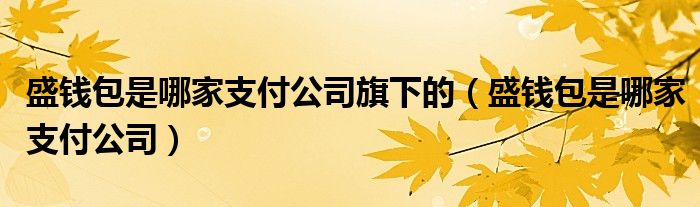 盛钱包是哪家支付公司旗下的（盛钱包是哪家支付公司）