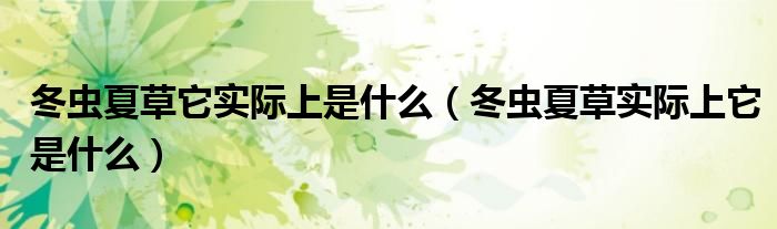 冬虫夏草它实际上是什么（冬虫夏草实际上它是什么）