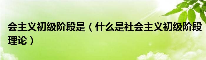 会主义初级阶段是（什么是社会主义初级阶段理论）